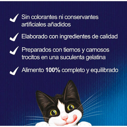 FELIX Fantástica Seleção de Sabores em Gelatina sortida embalagem 44x85g Gato