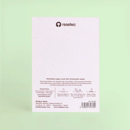 Postal Plantable Camping Semillas de Manzanilla | Papel de Algodón Reciclado | Regalo Original - Resetea_1
