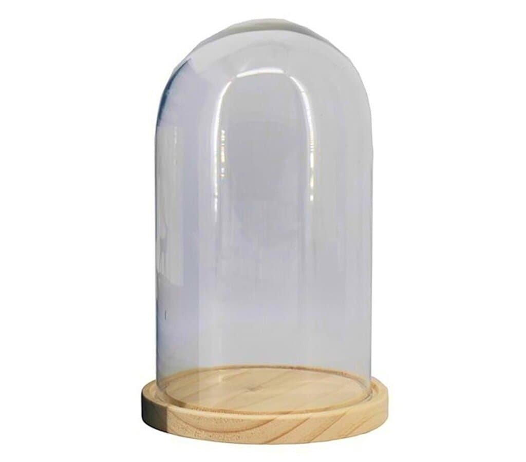 Cúpula En Bandeja De Madera Diámetro 16.5cm Altura 27 Cm_0