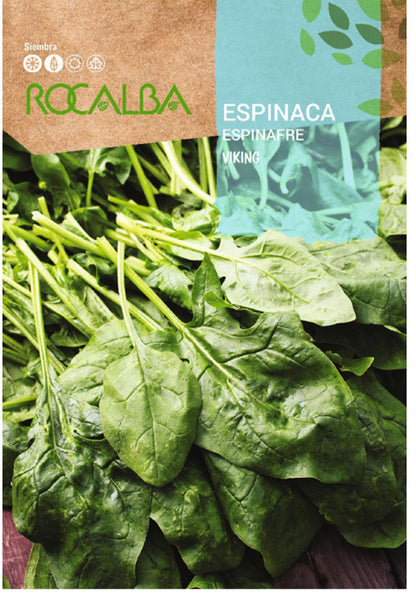 Semillas Espinaca Viking 10g_0