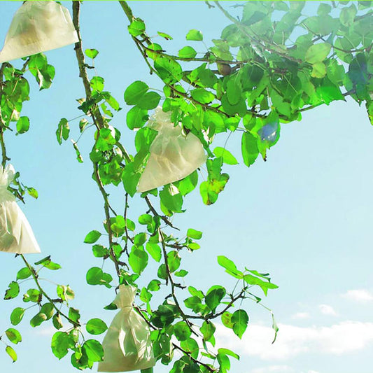 Capas protetoras Fruitsac Nortene para fruta, 50 unidades, 20 x 30 cm.