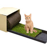 Petground, Arenero Para Gatos, Cama De Césped Natural, Hierba Gatera, Alfombra Olfativa Xl Xl: 117 X 40 Cm