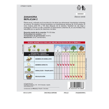 Semillas Huerto Zanahoria Berlicum