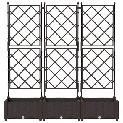 Macetero De Jardín 3 Uds. Marrón 120 X 40 X 125,5 Cm Pp_4