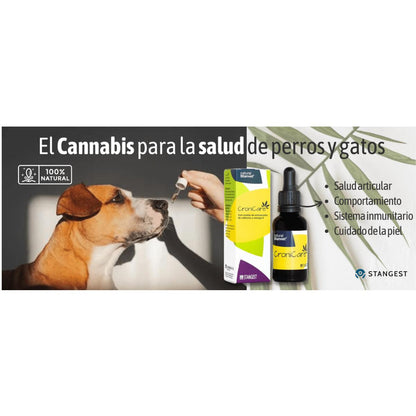 Cronicare Óleo Stangest 30 ml