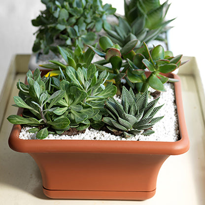 Maceta Cuadrada 24 Cm Con Platillo Antracita_3