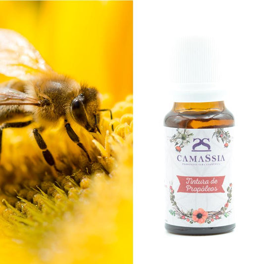 Tintura de própolis Camassia, 10 ml