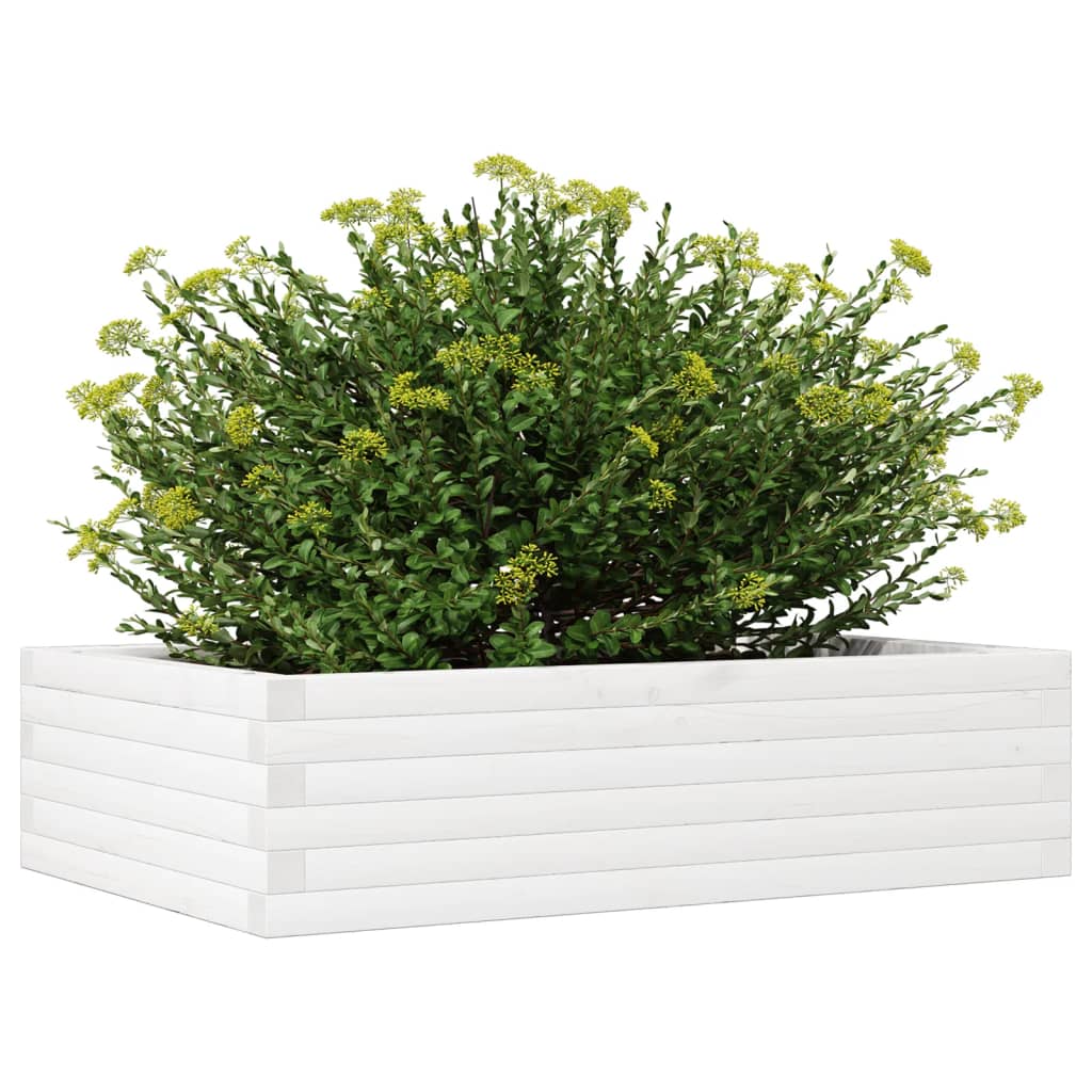 Jardinera De Madera Maciza De Pino Blanco 90x60x23 Cm_3
