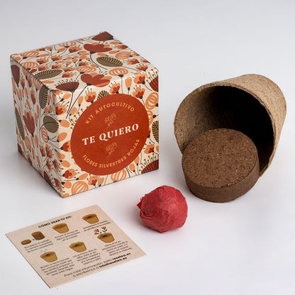 Díselo Con Flores Te Quiero | Kit Cultivo Flores Silvestres Rojas (amapola, Lino Rojo Y Clavel Del Poeta)_1