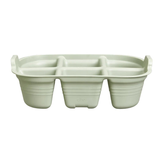 Mudas Elho Green Basics
