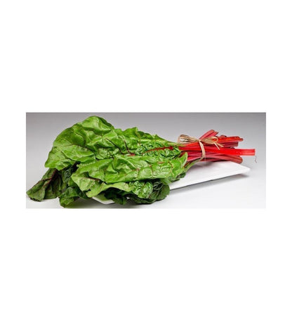 Plantón Acelga Roja (10 Unidades)_0
