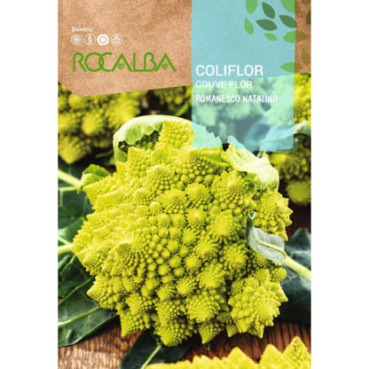 Sementes de couve-flor Romanesco Natalino
