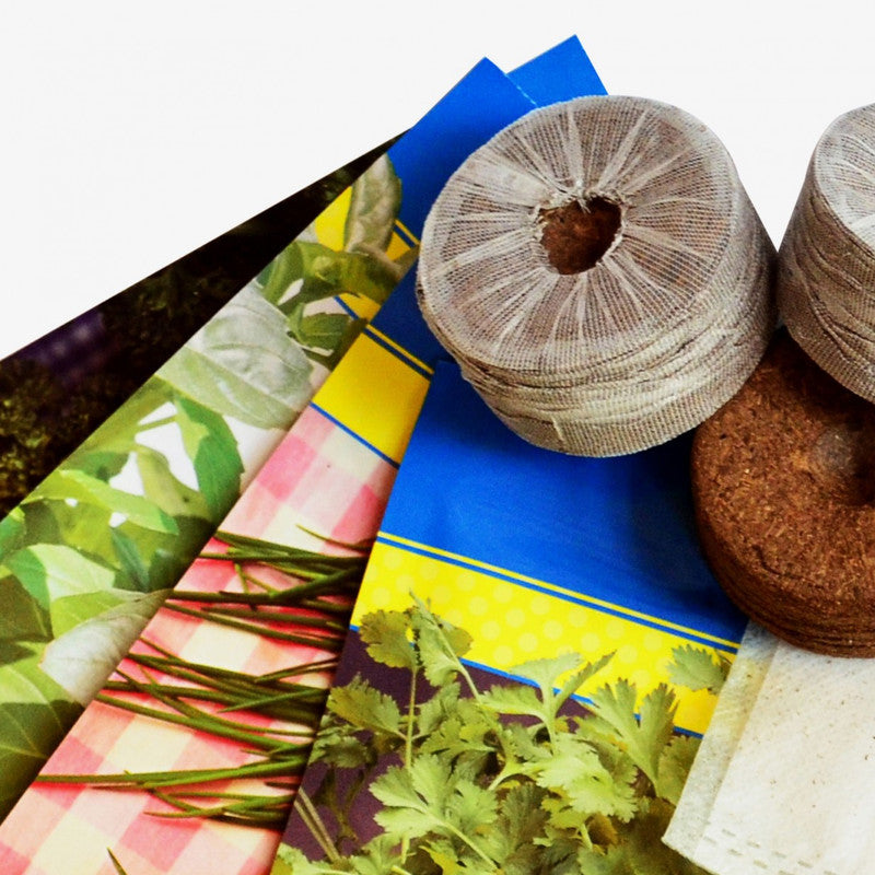 Soporte Modular Citysens De 4 Bandejas Y Semillas Aromáticas – Blanco, Polipropileno 100% Reciclado Y Madera Ecológica_4