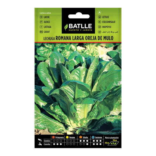 Sementes de alface orelha longa