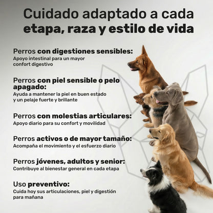 Pack Condroprotector + Probiótico + Aceite De Salmón Para Perros. Suplementos Mascotas. 360 Masticables. Natuva Pets_5