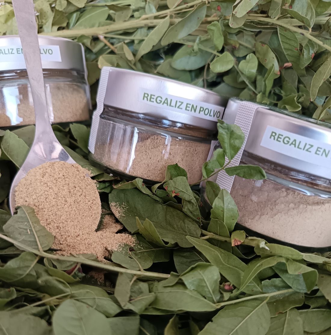 Polvo Regaliz De Palo Ecologico 40g_2
