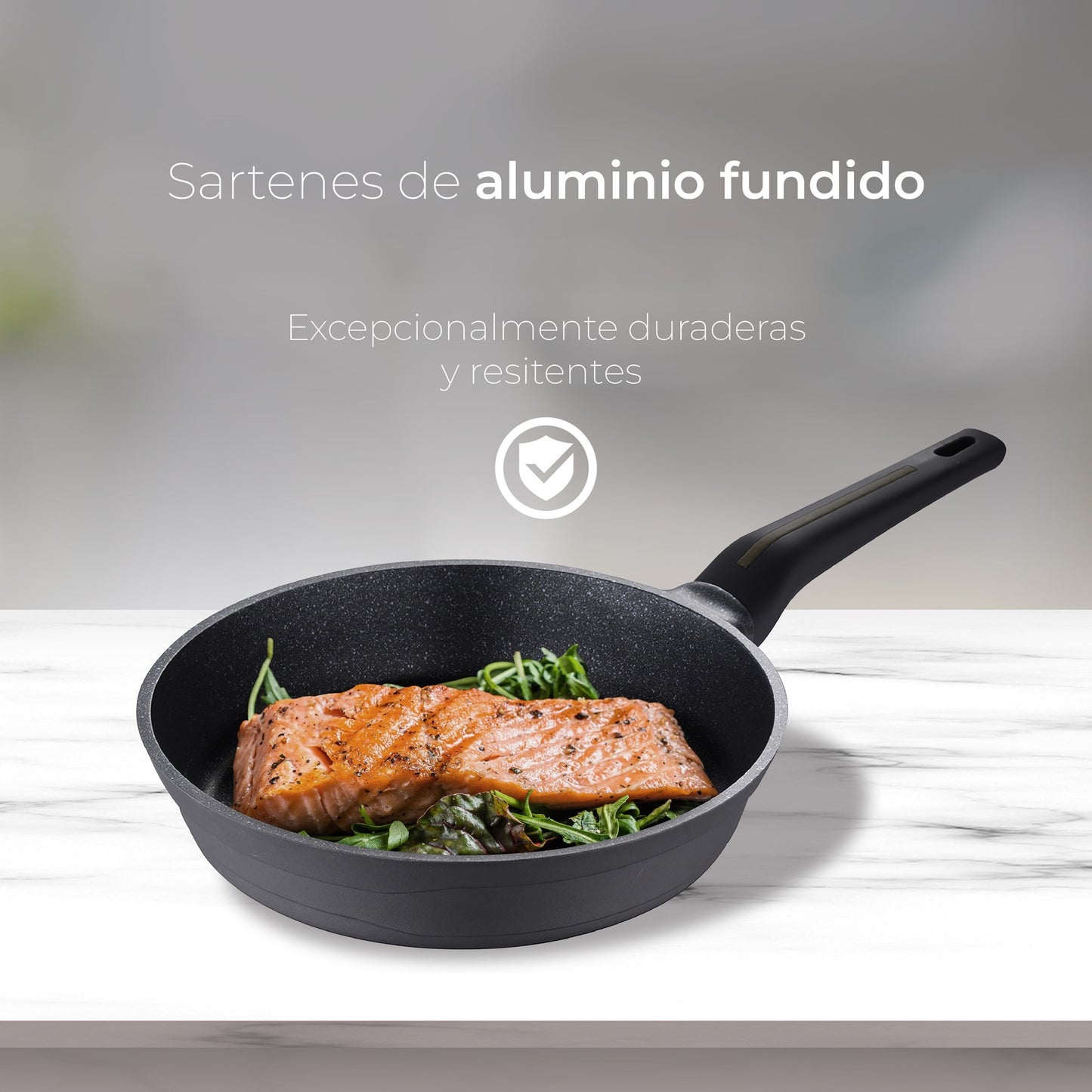 Set De 2 Sartenes Ø20ø24cm Con Protectores Bistro San Ignacio_3