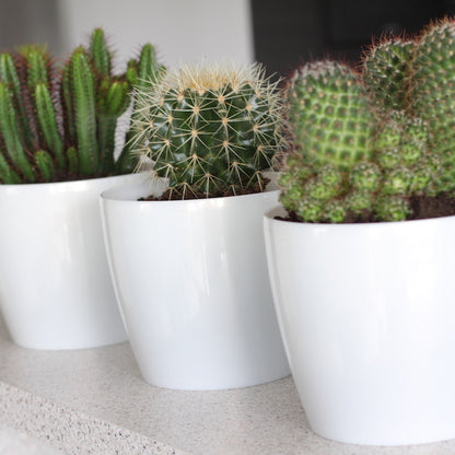 Macetero Magnolia 360 Gris