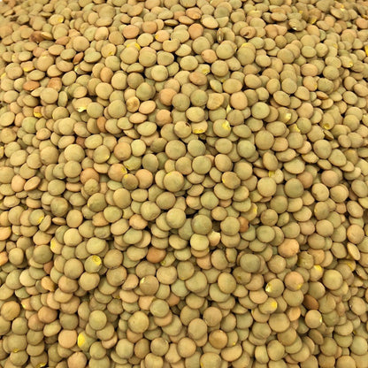 Lenteja Rubia Ecológica Granel 25 Kg_2