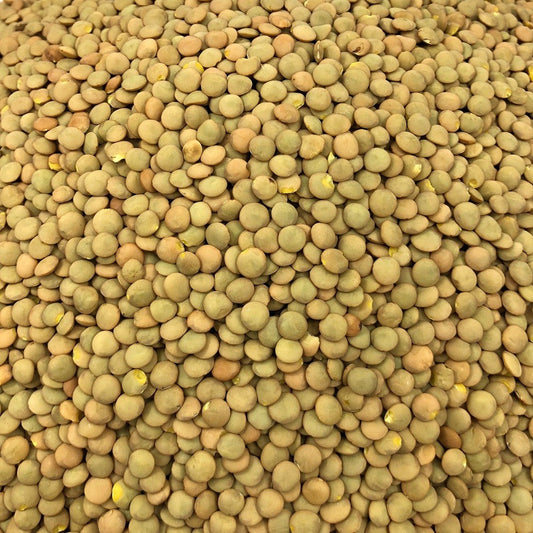 Proteína De Arroz Orgánica A Granel Orgánica Granel 0,4 Kg_0