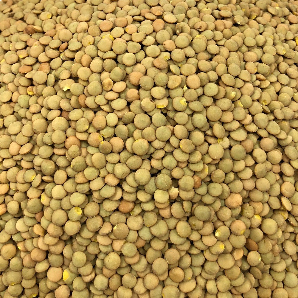 Lenteja Rubia Ecológica Granel 0,5 Kg_2