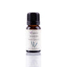 Óleo Essencial de Alecrim Labiatae Biológico 12 ml