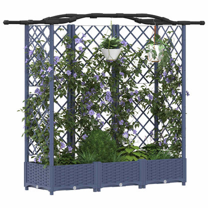 Cama Elevada Con Trellis Y Techo Gris 163 X 40 X 123 Cm Pp_2