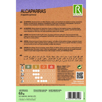 Sementes de alcaparra