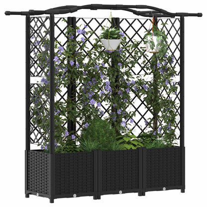 Cama Elevada Con Trellis Y Techo Negro 163 X 40 X 138 Cm Pp_2