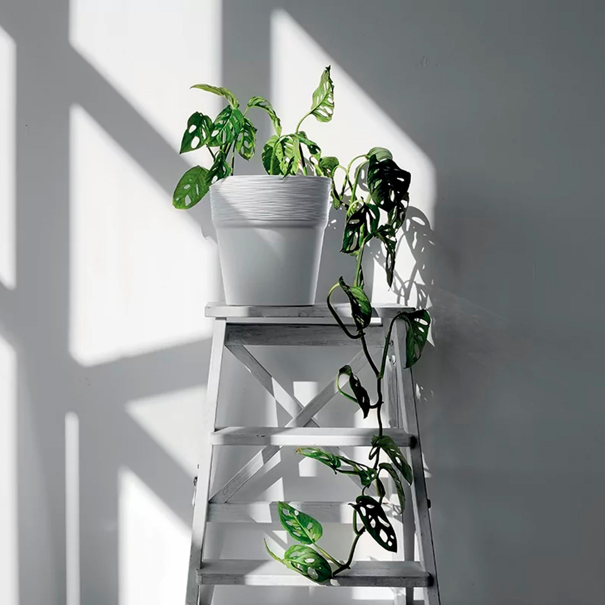 Maceta Furu , Dimensiones (mm) 122x122x122, Color Blanco