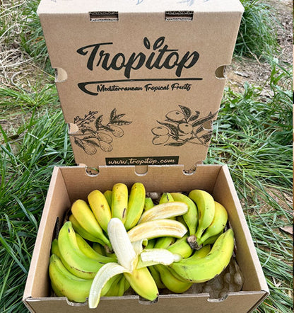 Caja De Plátanos De Canarias Tropitop Caja De 3kg_1