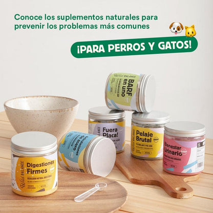 Suplemento Natural para Animais de Estimação Wild Balance 100g da Joints of Steel
