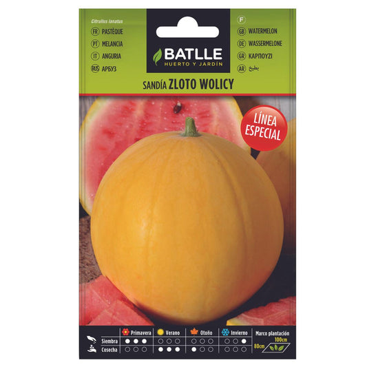 Sementes de melancia Zloto Wolicy Batlle