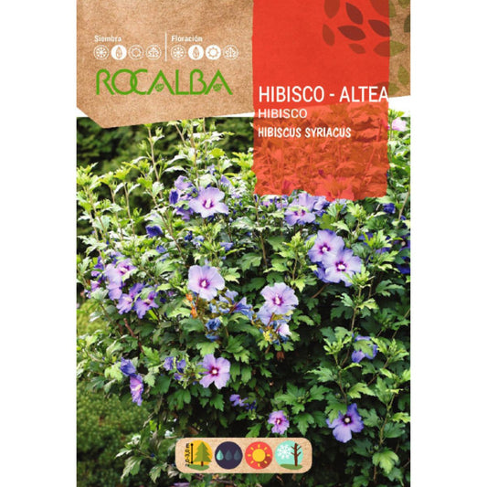 Sementes de hibisco Hibiscus syriacus