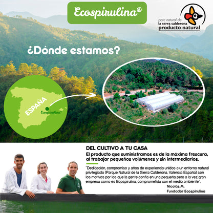 Chlorella Ecológica En Polvo De Pared Celular Rota Ecospirulina 80 G_4