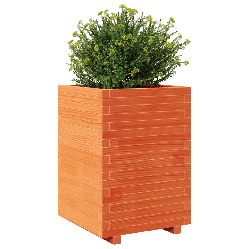 Jardinera Madera Maciza De Pino Marrón Cera 50x50x72,5 Cm_3