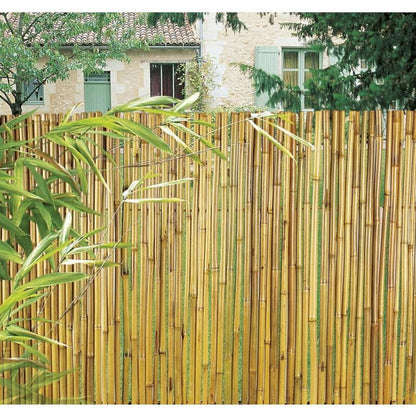 Cana de bambu envernizada natural Bambooflex Nortene 1x3 m (RENOVADA)