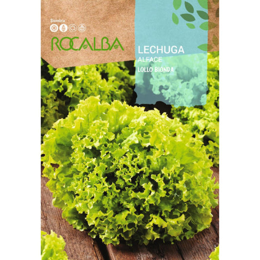 Sementes de alface Lollo Bionda