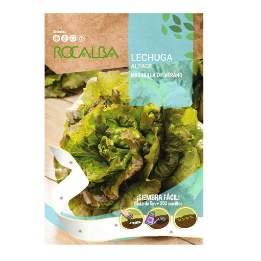 Sementes de alface Rocalba Summer Wonder em fita