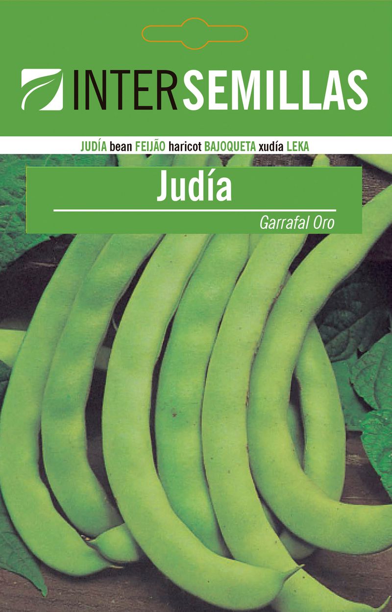Sobre De Semillas Judia Garral Oro_0