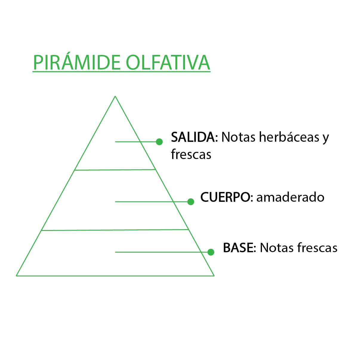 Esencia Natural Aromática Árbol de Té 12 ml | Aroma Herbal y Purificante | Perfume Concentrado | Uso en Difusores_2
