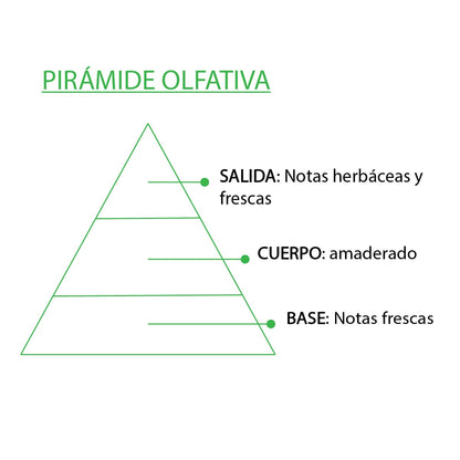 Esencia Natural Aromática Árbol de Té 12 ml | Aroma Herbal y Purificante | Perfume Concentrado | Uso en Difusores_2
