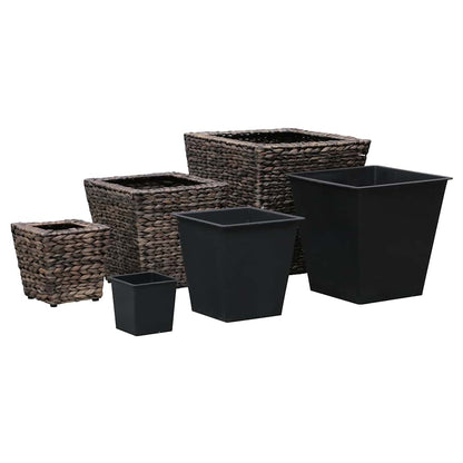 Conjunto De Arriates 3 Piezas Jacinto De Agua Marrón_3
