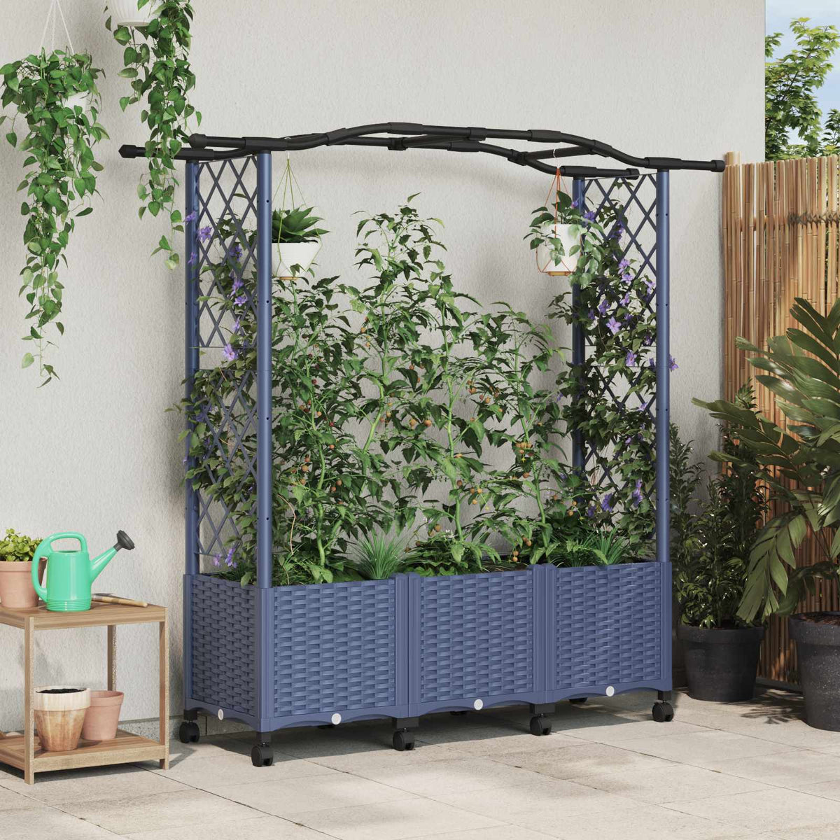 Cama Elevada Con Trellis Y Techo Gris 164 X 40 X 144 Cm Pp_1