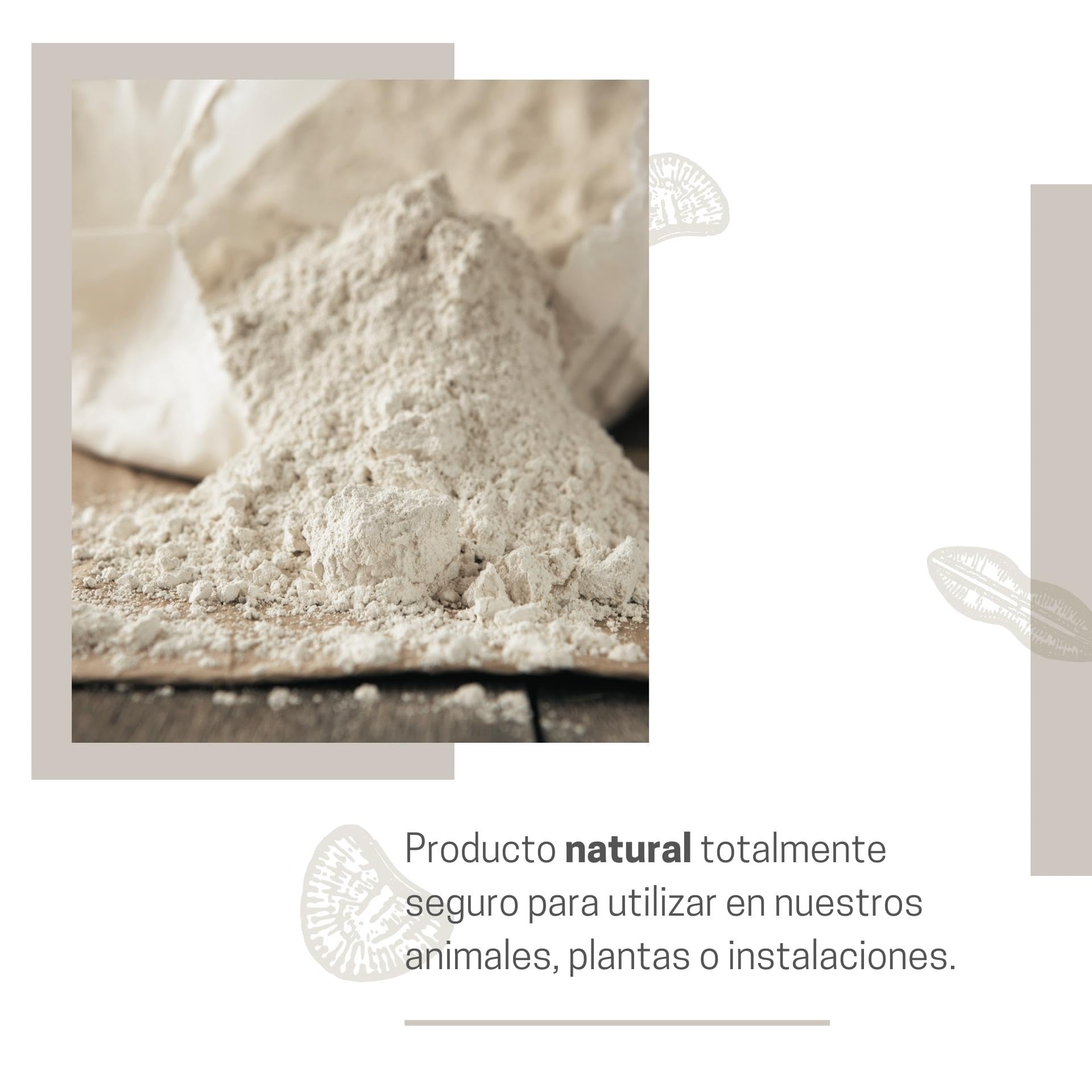 Tierra De Diatomeas Micronizada - 100% Natural Y Ecológica - 225 G - Múltiples Usos - Polvo De Diatomeas En Envase Pulve_2