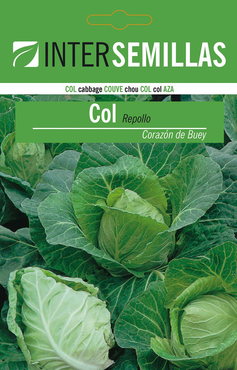 Sobre De Semillas Col Repollo Corazon Buey_0