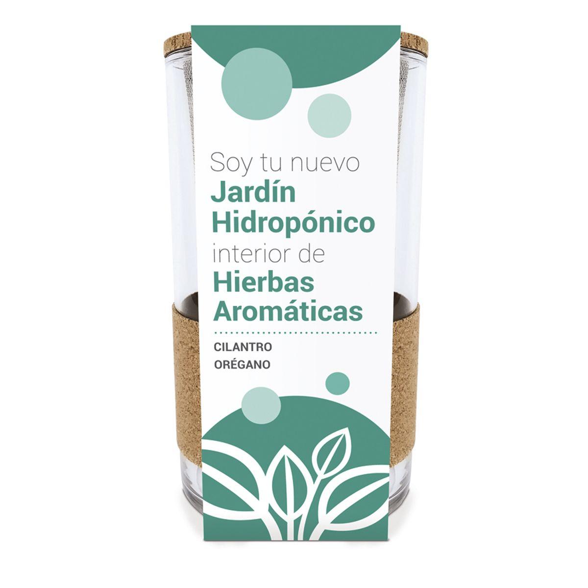 Cultivo hidropónico de coentro e orégãos