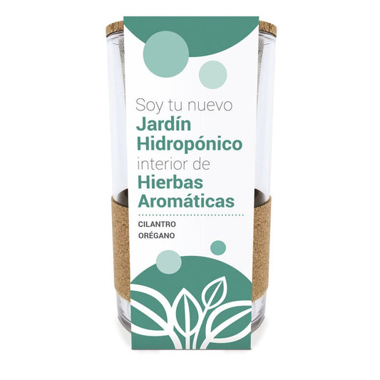Cultivo hidropónico de coentro e orégãos