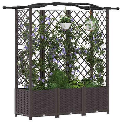 Cama Elevada Con Trellis Y Techo Marrón 163 X 40 X 138 Cm Pp_2