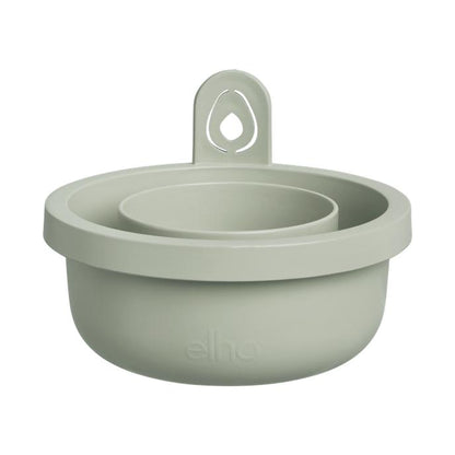Incrível Abacate Elho Verde Abacate Germinante Pote